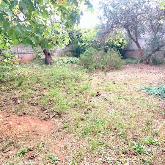 AGENCE BARRYS IMMOBILIER : Terrain | FRONTIGNAN (34110) | m2 | 160 000 € 