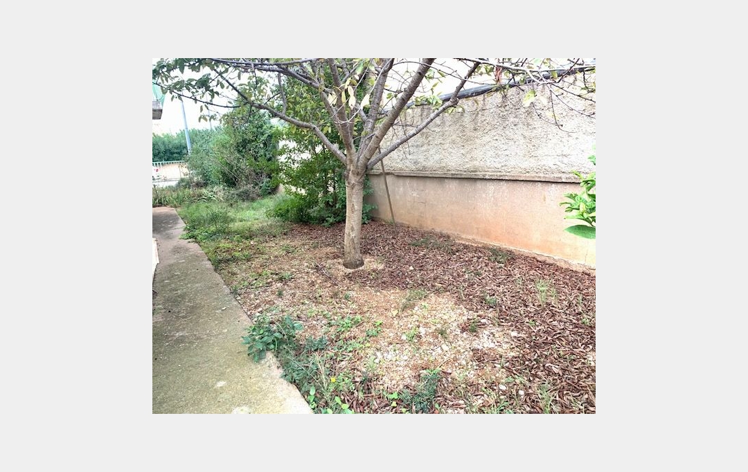 AGENCE BARRYS IMMOBILIER : Terrain | FRONTIGNAN (34110) | 0 m2 | 160 000 € 